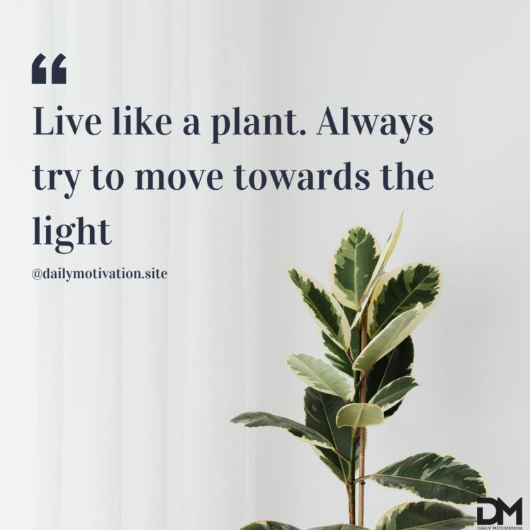 Live like a plant. Always try to move towards the light.