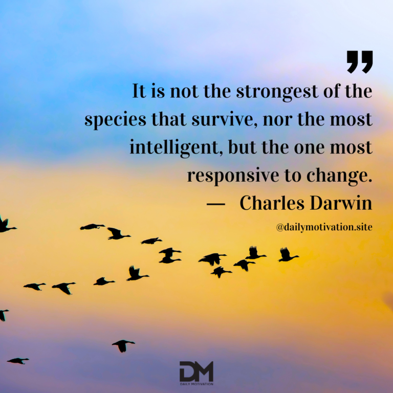 A flock of birds flies in a blue and yellow sky.