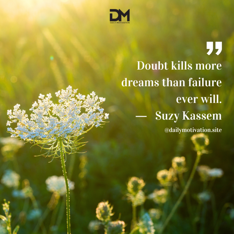 Dappled sunlight hits a filed of white flowers.