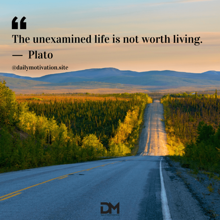 A long stretch of empty highway, lined with full green trees.