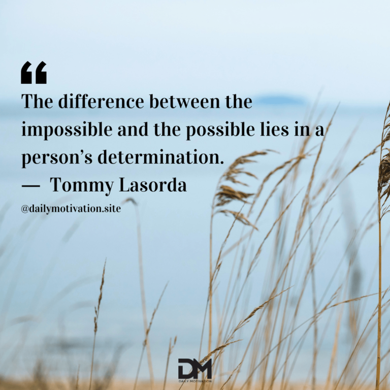 A light blue sky beyond a field of tall grass.