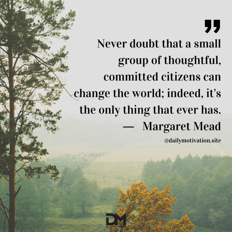 A misty grey day in a field full of green trees.