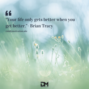 A misty close up of flower buds in a field.