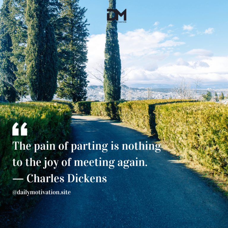 Manicured hedges line a paved path to some tall trees.