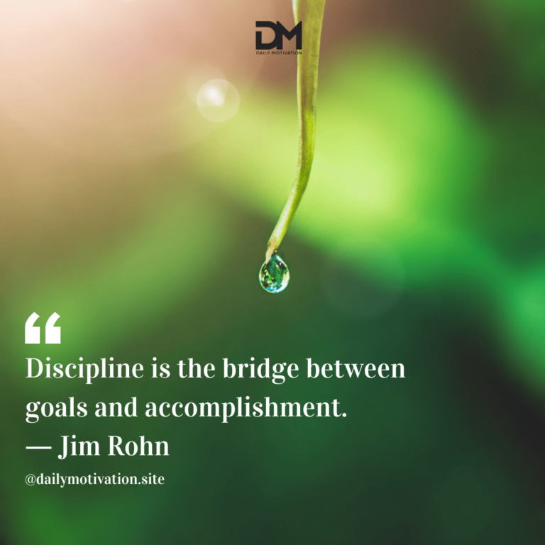 Drop of water falls off a leaf.