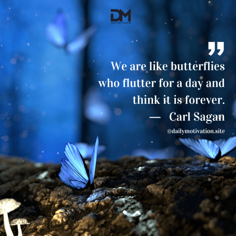 Blue butterflies land on a log in the dark.