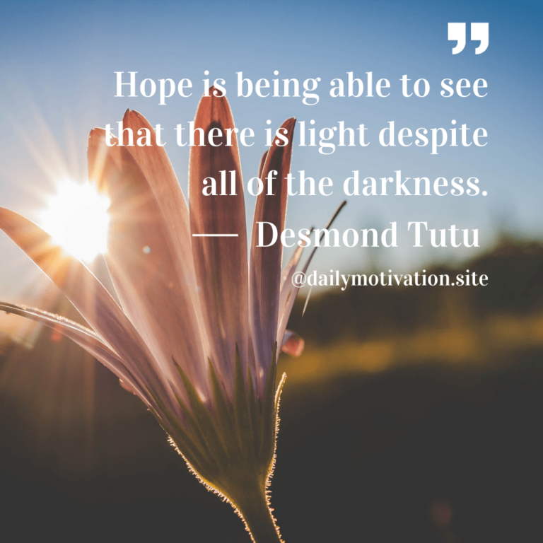 Close up of flower with sun behind.