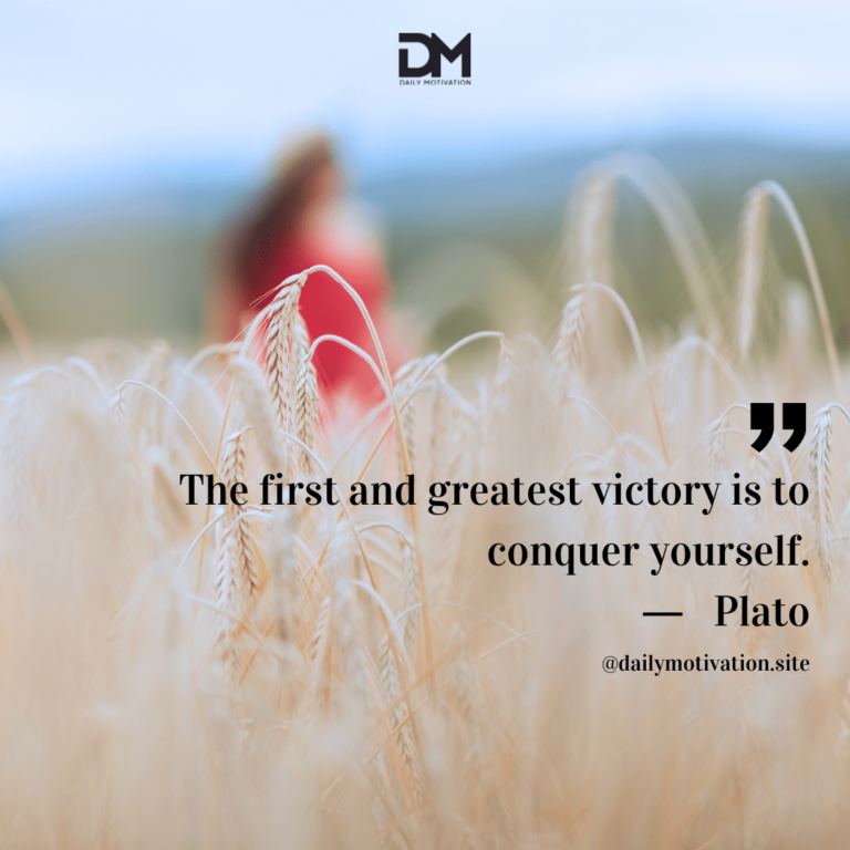 Person stands in a wheat field.