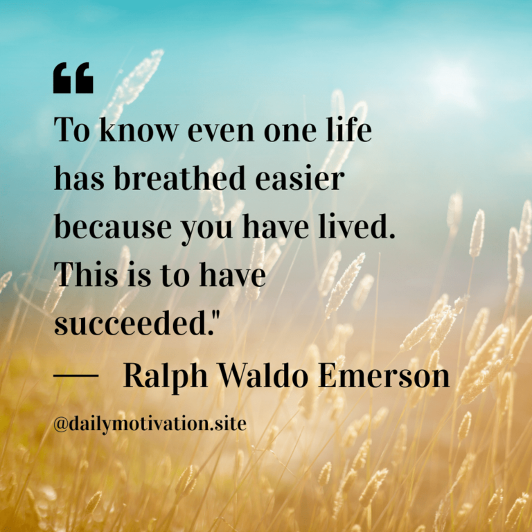 A sunny yellow field with blue sky.