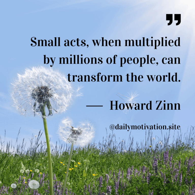 Close up of fluffy dandelion.