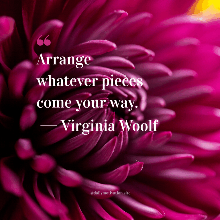 Close up of a vibrant magenta flower.