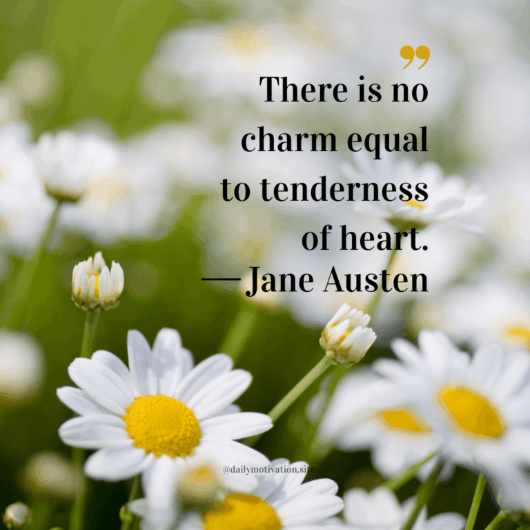 Close up of a field of daisies.