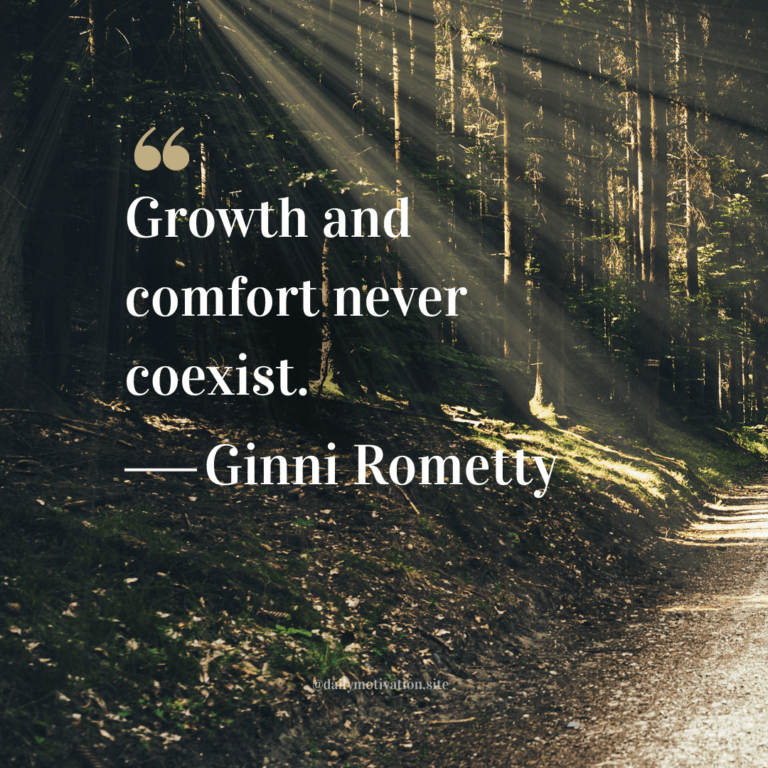 Sunbeam peeks through the dense forest trees onto a path.