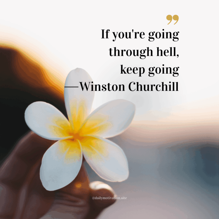 Close up of a beautiful white and yellow flower.