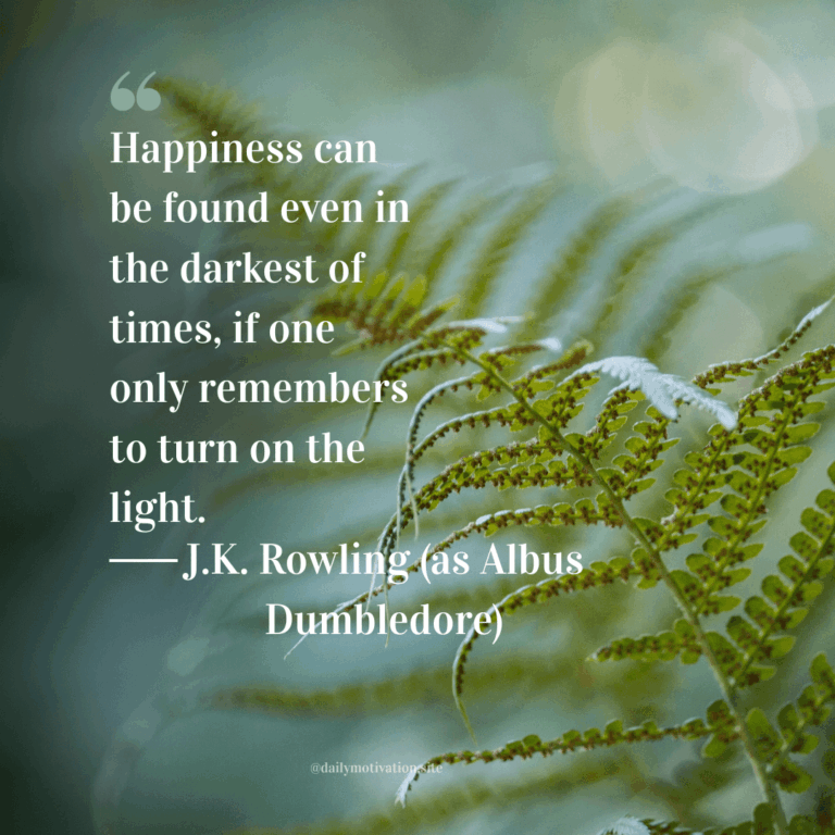 Close up of a fern leaf.