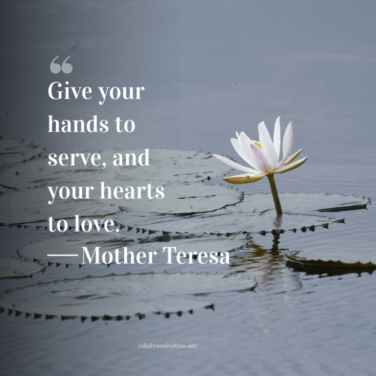 A water lily and pads float in the water.