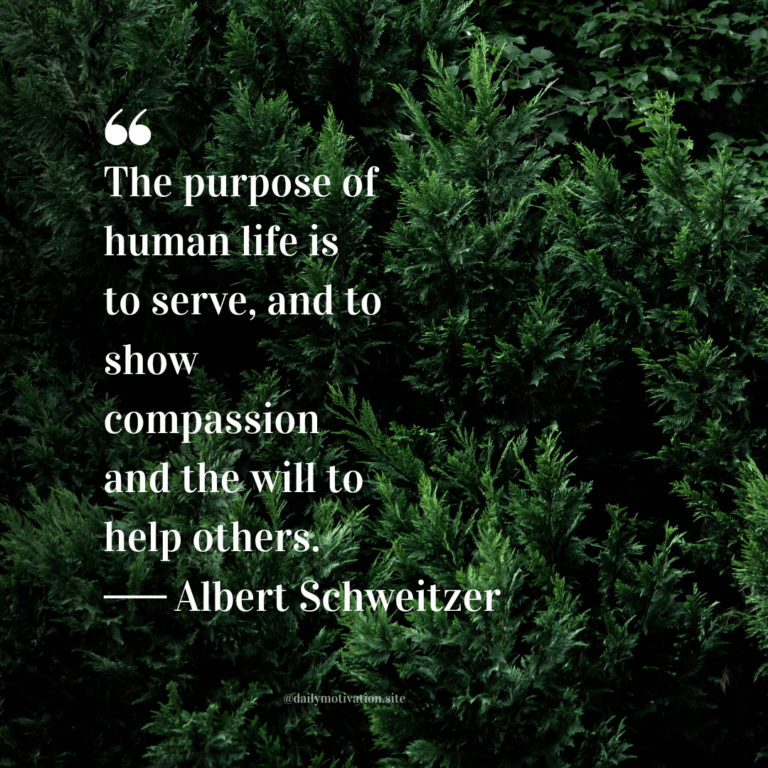 Close up of a dark green forest of trees.