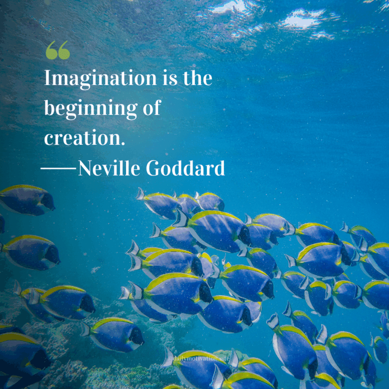 A school of blue and yellow fish swims just under the surface.