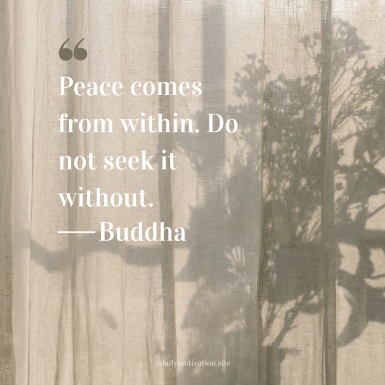 Shadows play on white curtains.