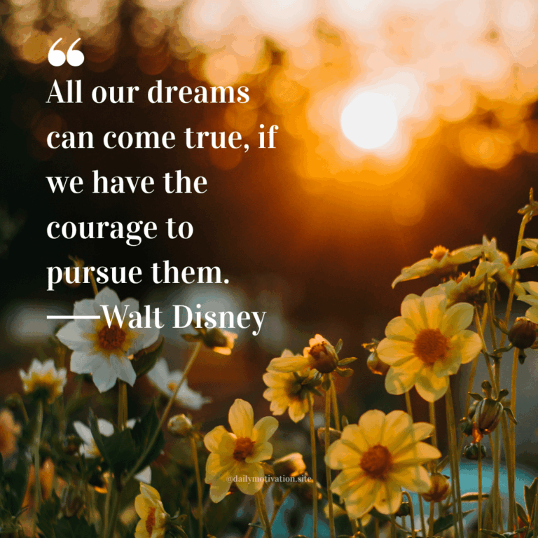 The sun goes down behind a field of daisies.