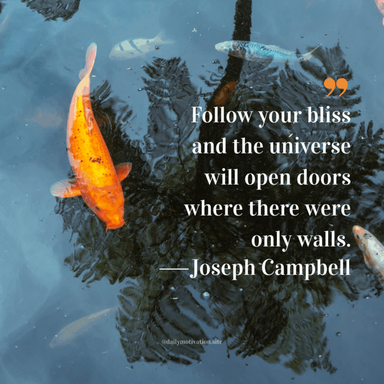 Colorful fish swim in a clear pond.