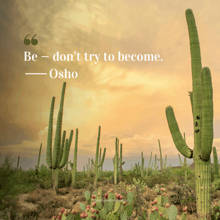 Cactuses lined up against an orange sky.