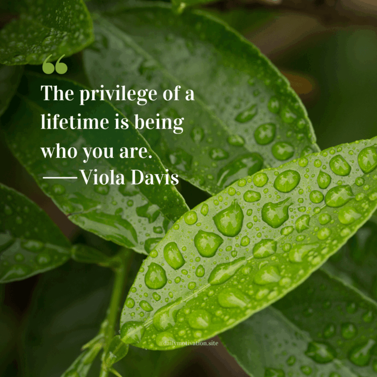 Close up of dew drops on green leaves.