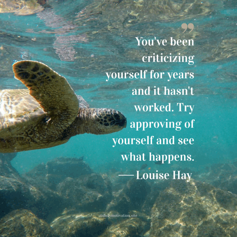 A turtle swims in the sea.