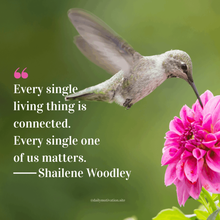 Hummingbird dips its beak into a bright pink flower.