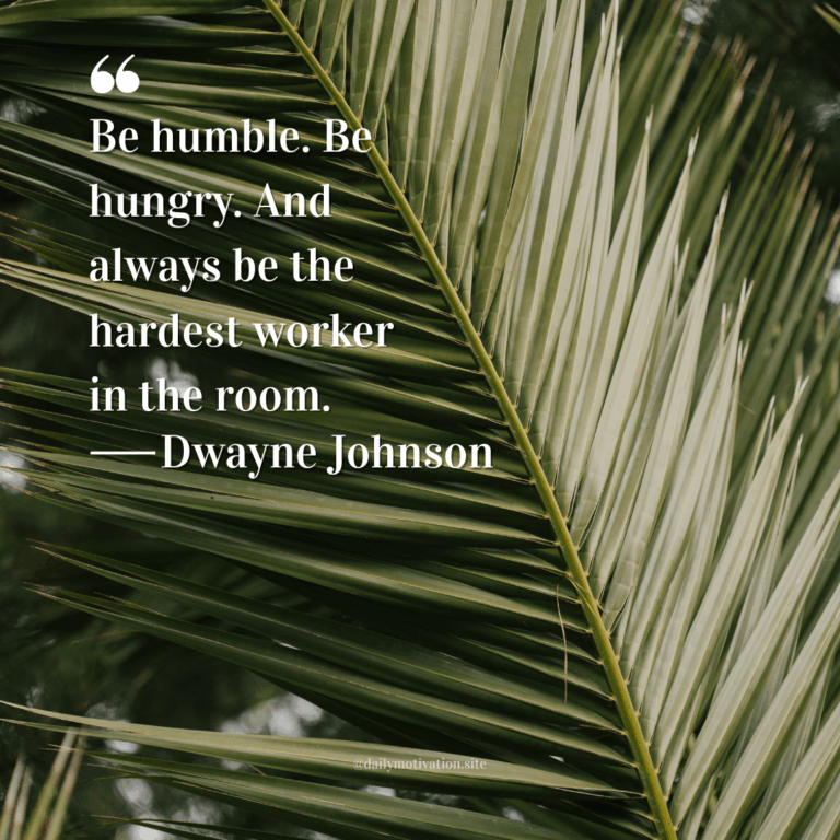 A close up of a huge green fern leaf.