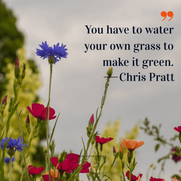 A group of colorful flowers.