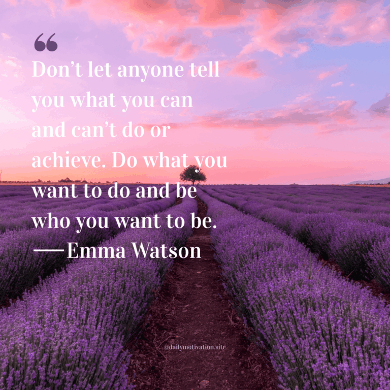 Field of lavender against a purple and pink sky.