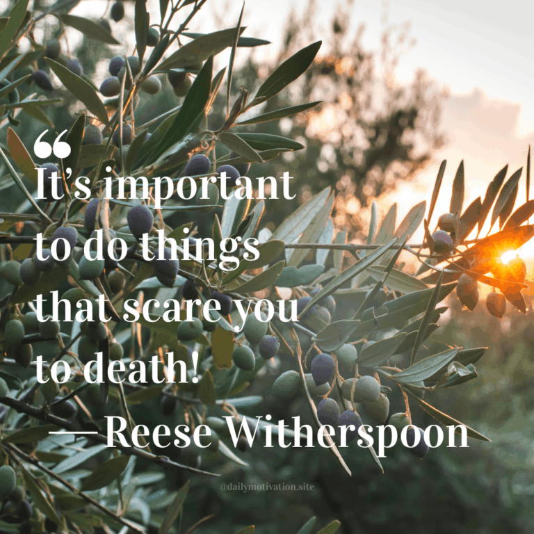 An olive bush at sunset.