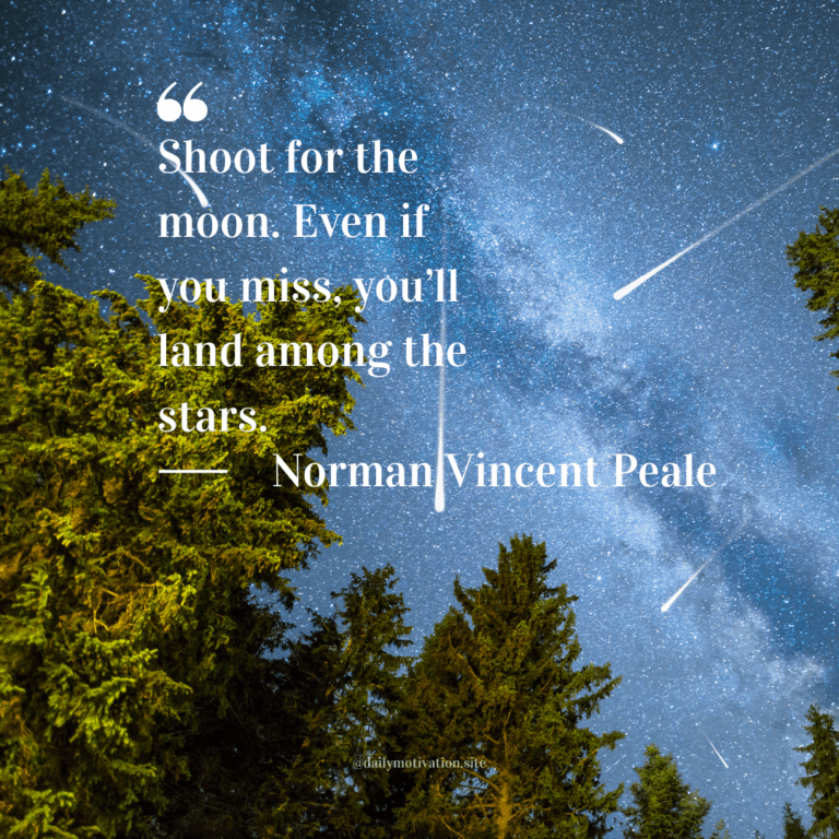 Shooting stars in a night sky above a pine forest.