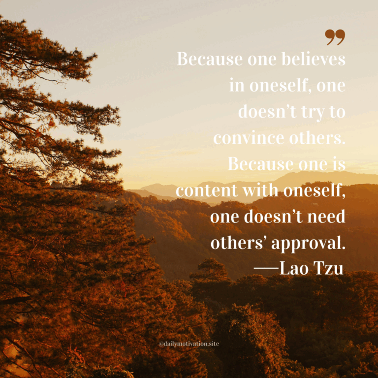 The sun sets on a tall pine tree.