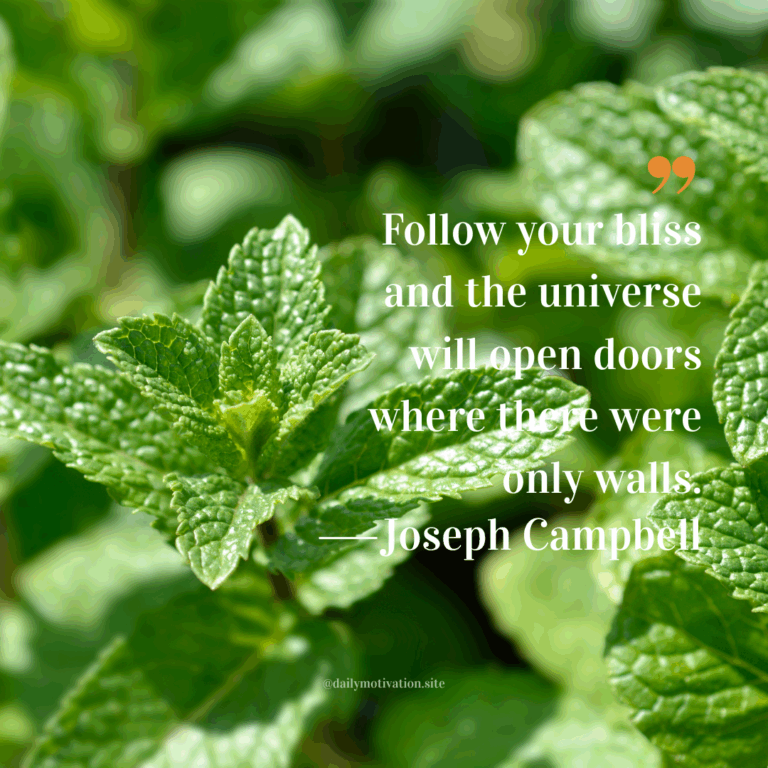 Close-up of fresh green mint leaves.