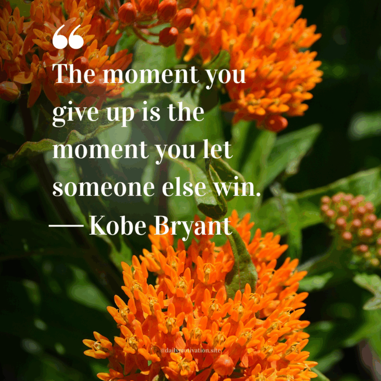 Close-up of bright orange flowers in full bloom against green foliage.
