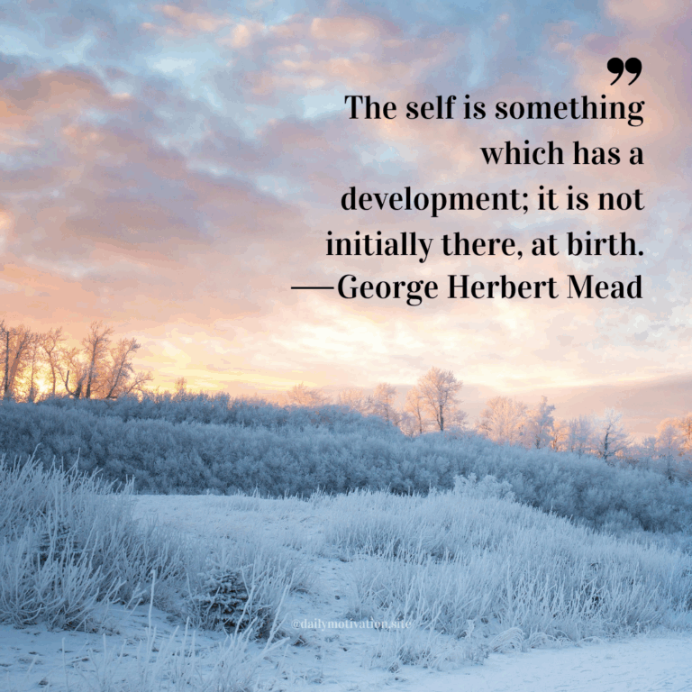 Snow-covered field with frosty trees at sunrise under colorful clouds.