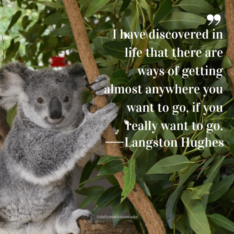 Koala holding onto a tree branch surrounded by green leaves.