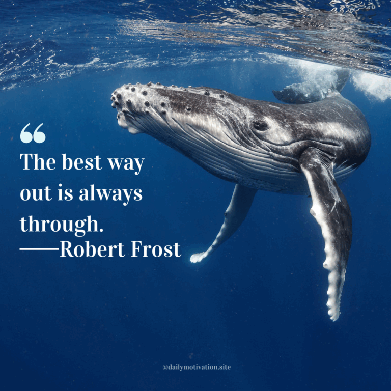 Underwater view of a humpback whale swimming gracefully through deep blue water.