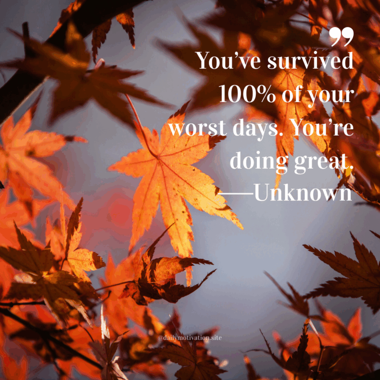 Autumn leaves in shades of red and orange illuminated by sunlight.