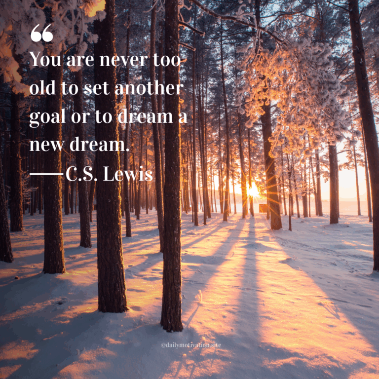 Snow-covered forest with tall pine trees and golden sunrise casting long shadows.